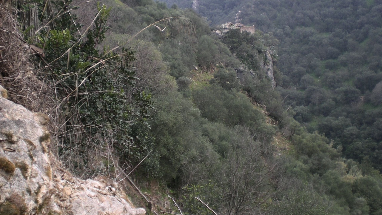 Photo of Others in Hornachuelos