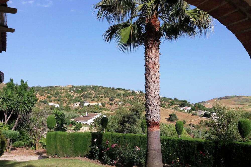 Photo of Others in Antequera
