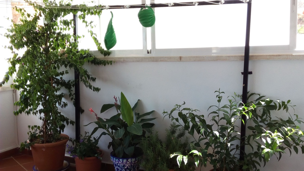 Photo of Patio Balcony in Los Banos