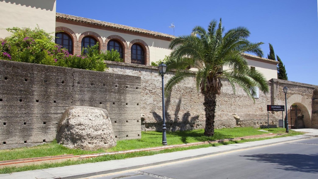 Photo of Outdoor in Palma del Rio