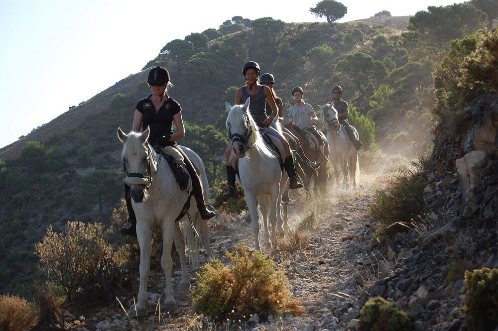 Photo of Others in Canillas de Albaida