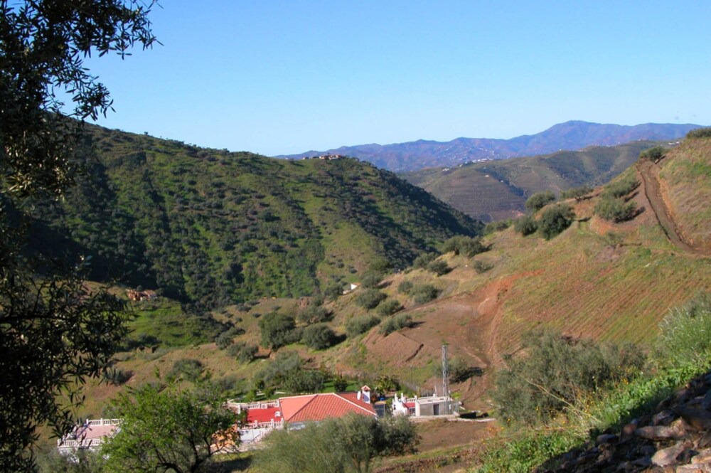 Photo of Others in Canillas de Aceituno