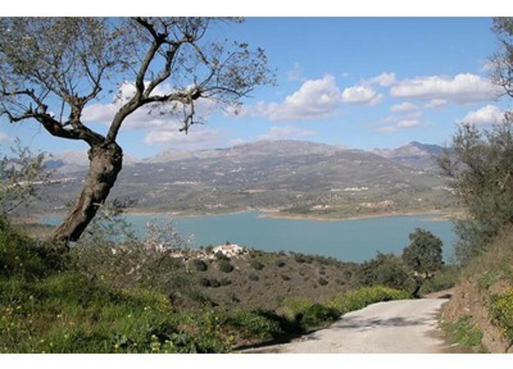 Photo of Others in Canillas de Aceituno
