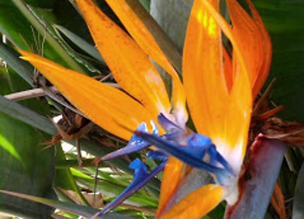 Photo of Outdoor in Canillas de Aceituno