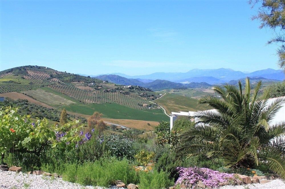 Photo of Others in Antequera