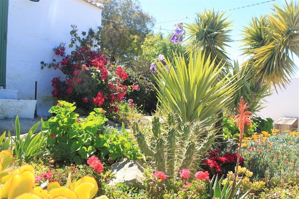 Photo of Outdoor in Antequera