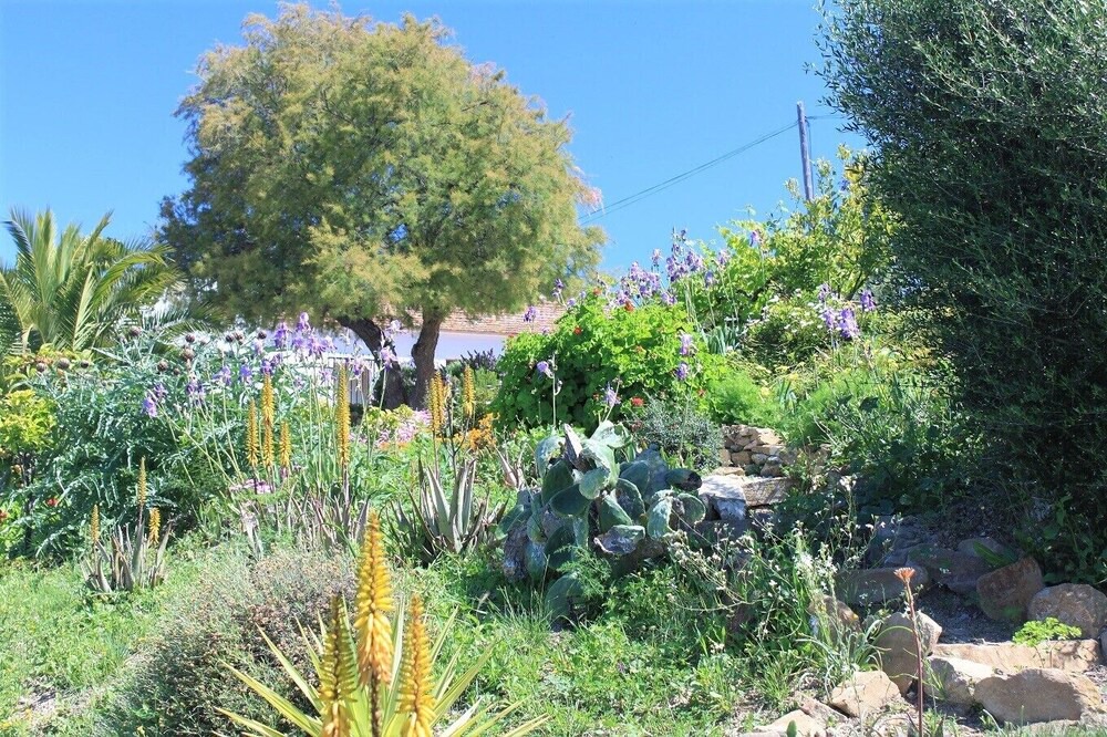 Photo of Outdoor in Antequera