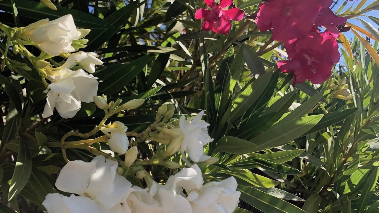 Photo of Outdoor in Casarabonela