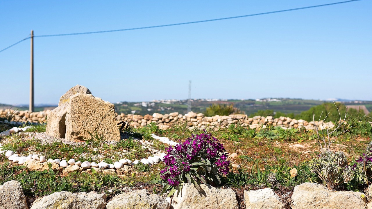 Photo of Outdoor in San Ambrosio