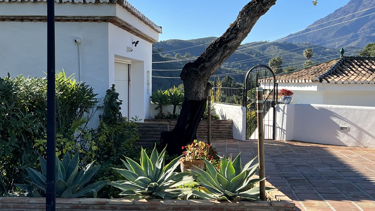 Photo of Outdoor in New Golden Mile