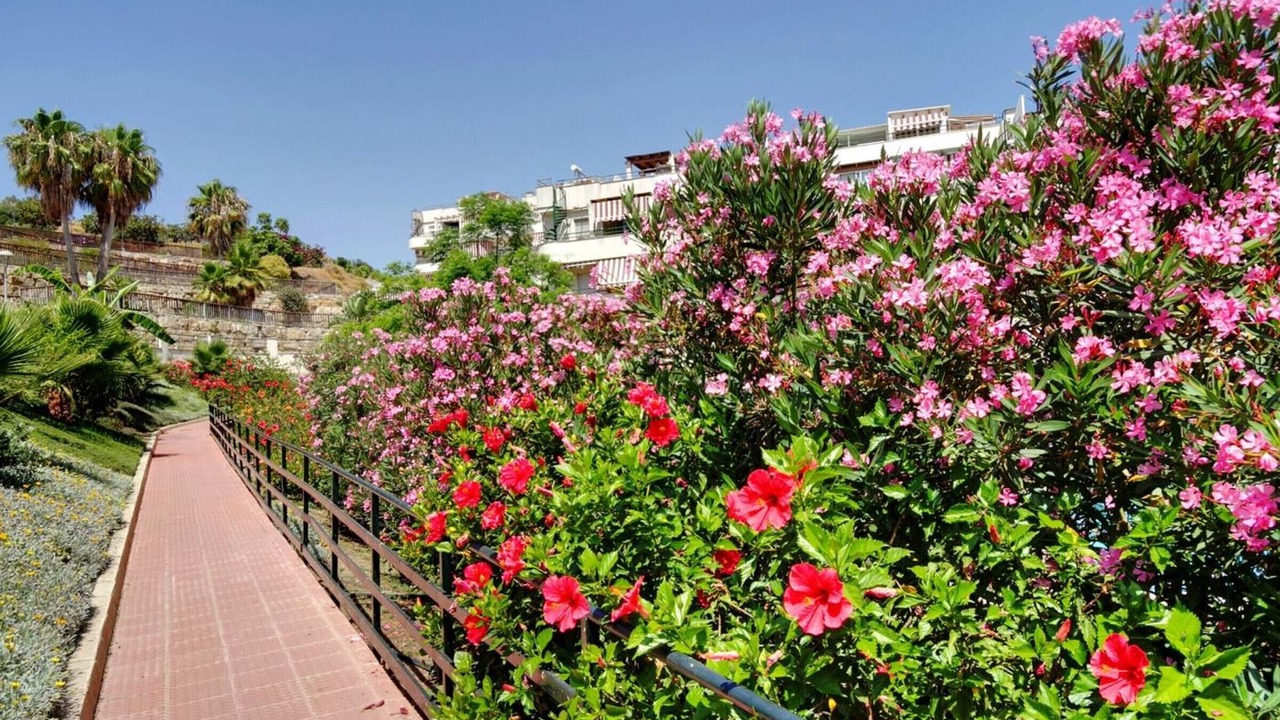 Photo of Outdoor in Benagalbon