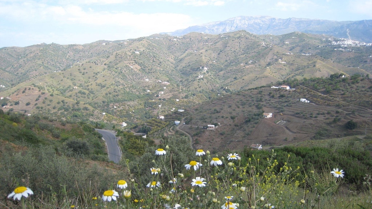 Photo of Others in Sayalonga