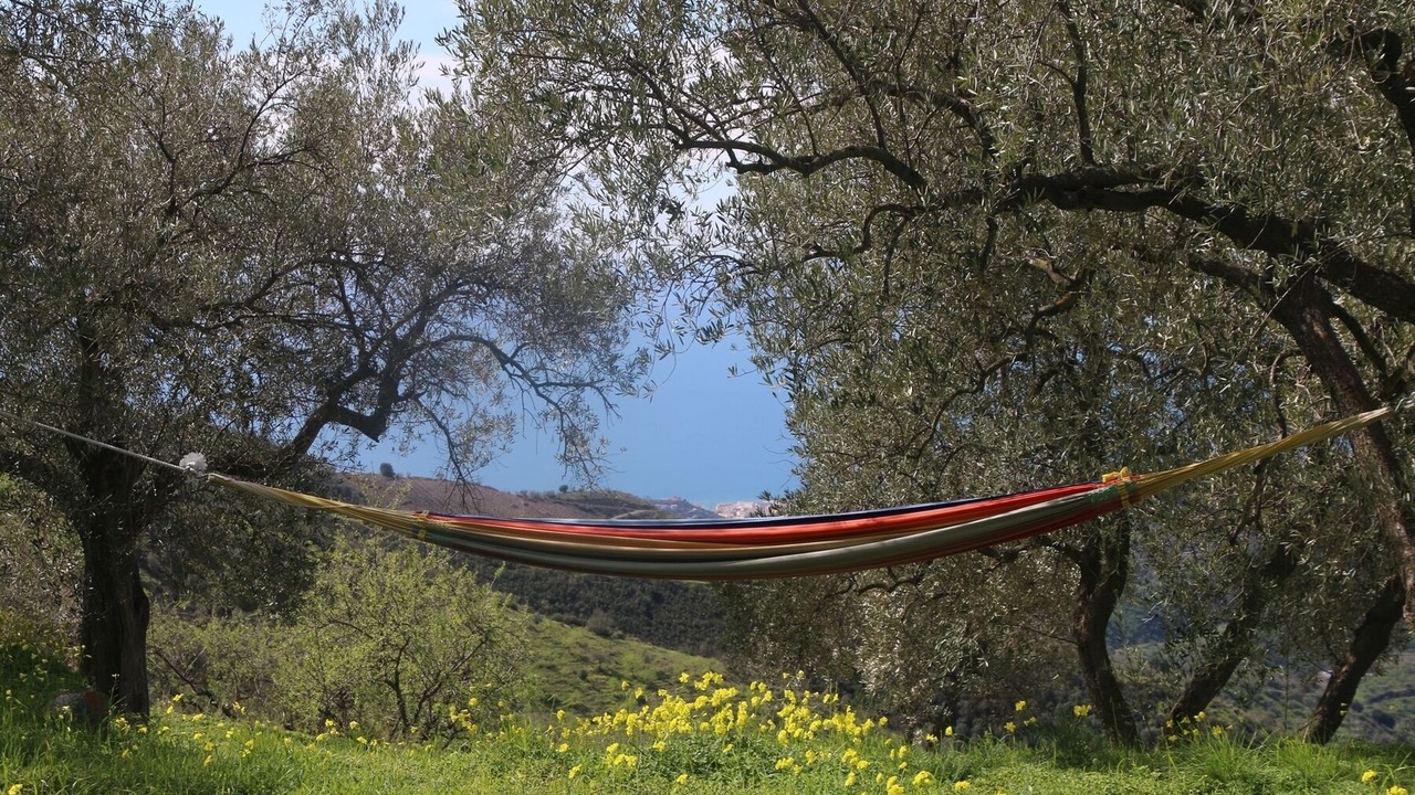 Photo of Others in Moclinejo