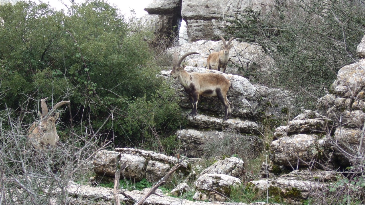 Photo of Outdoor in Antequera