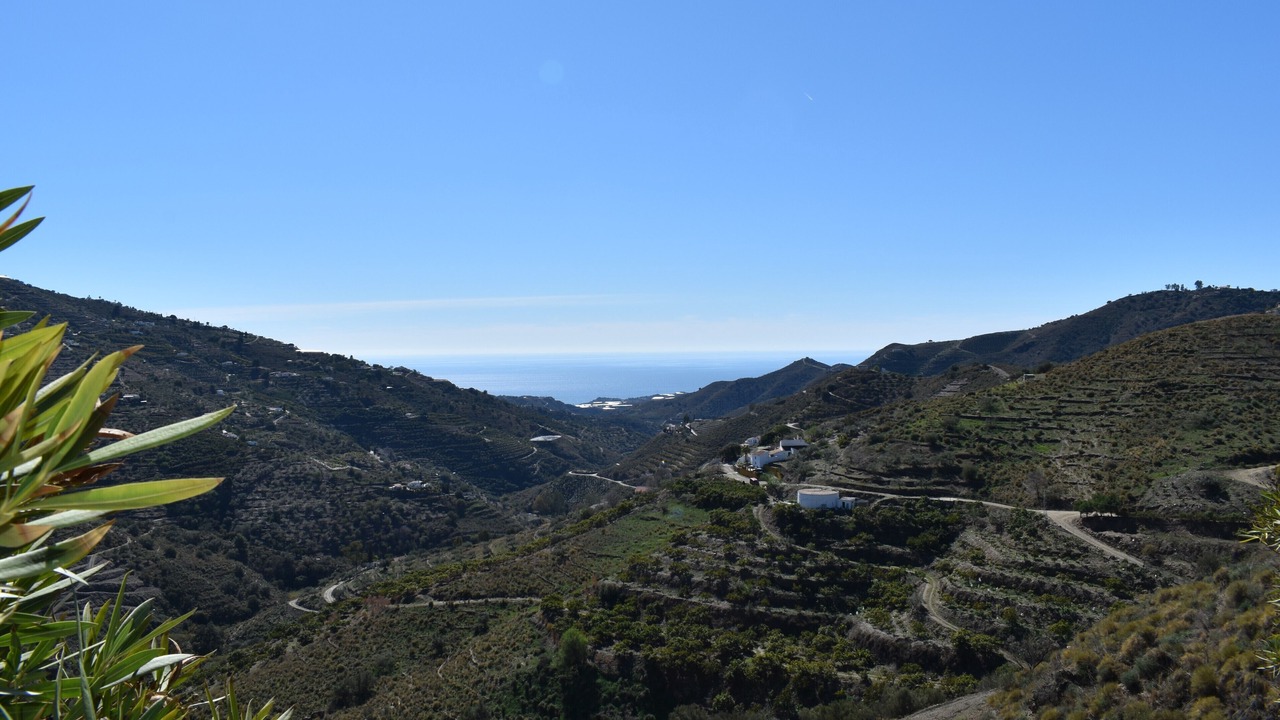 Photo of Others in Competa