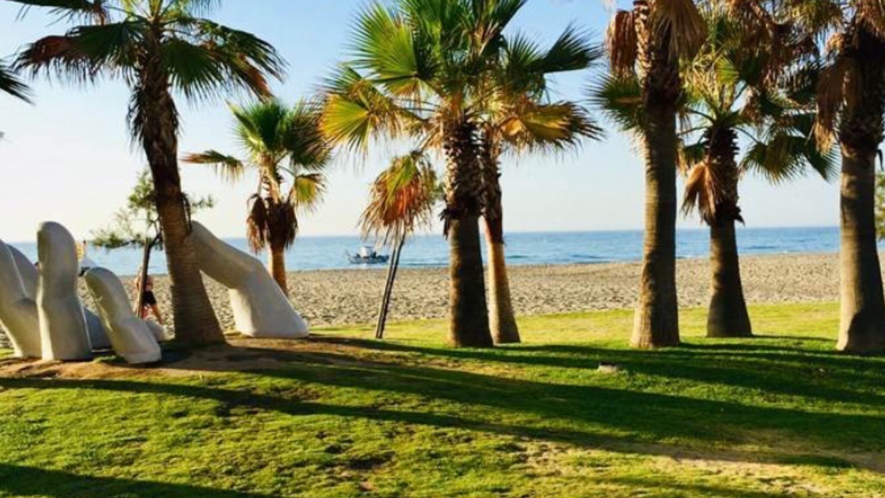 Photo of Others in Torreblanca