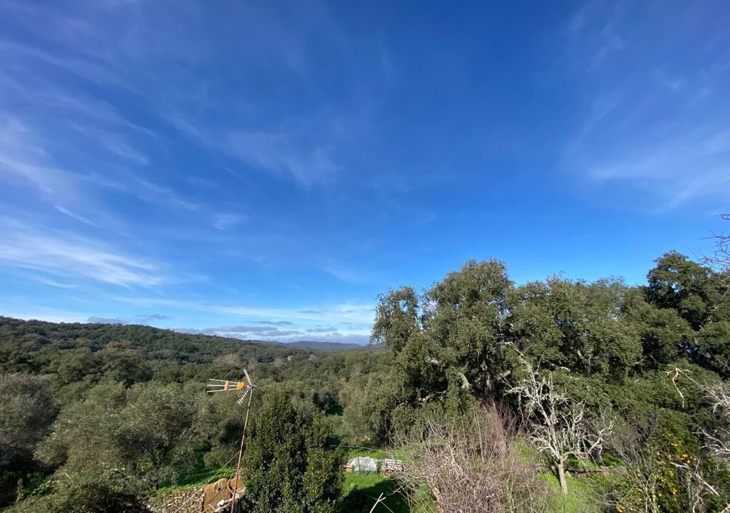 Photo of Outdoor in Los Marines