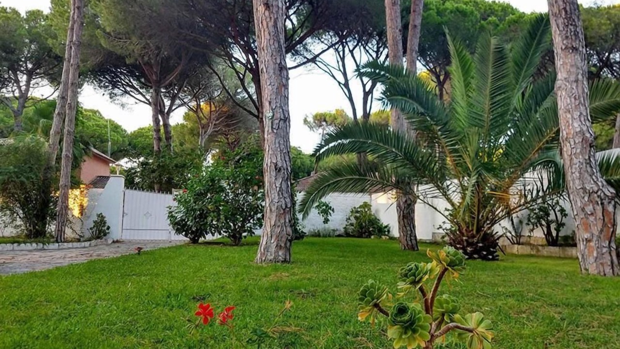 Photo of Outdoor in Los Gallos-Cerromolino