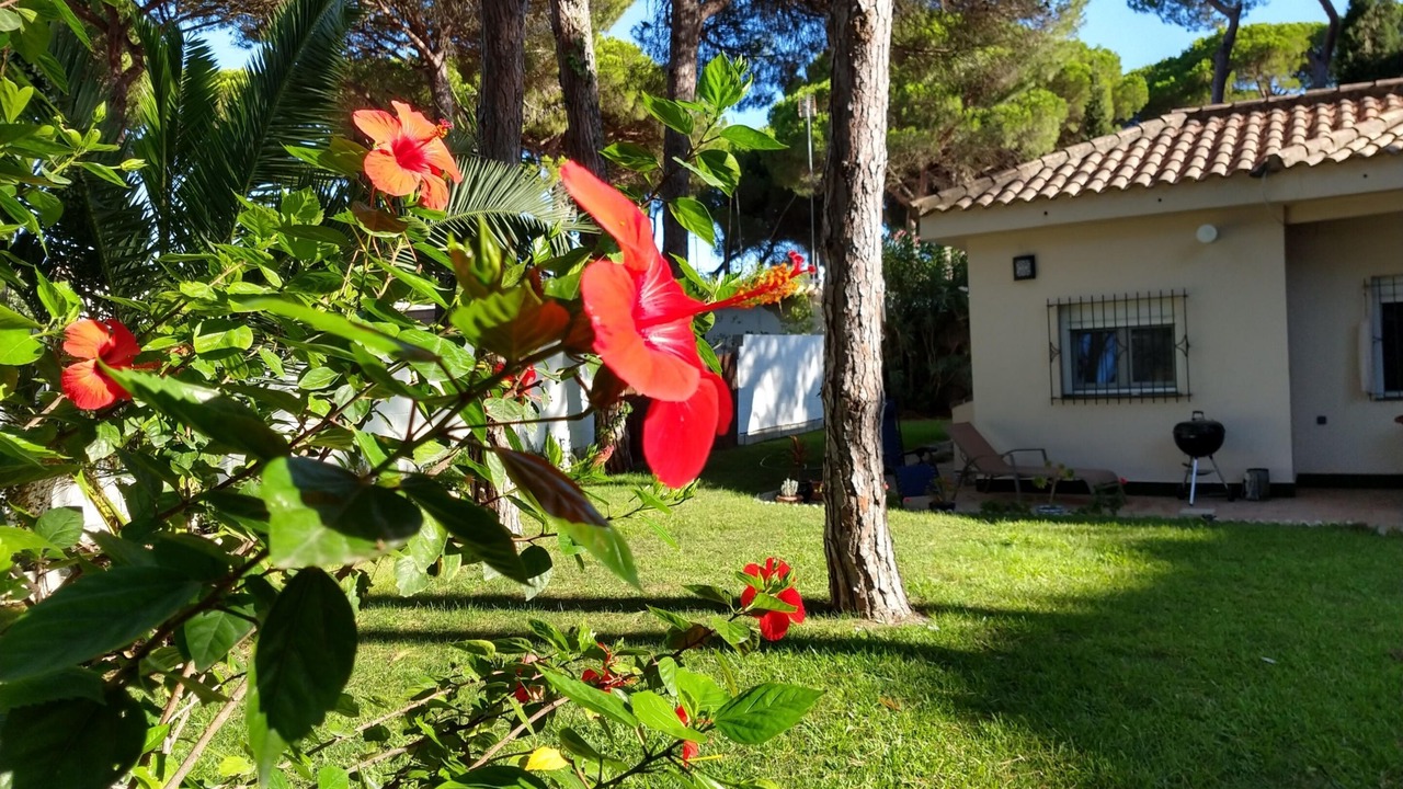 Photo of Outdoor in Los Gallos-Cerromolino