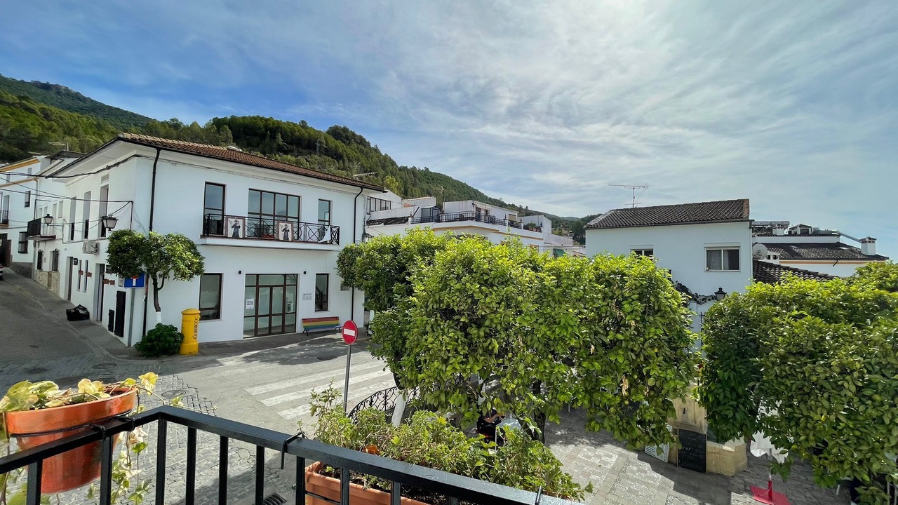 Photo of Outdoor in El Bosque