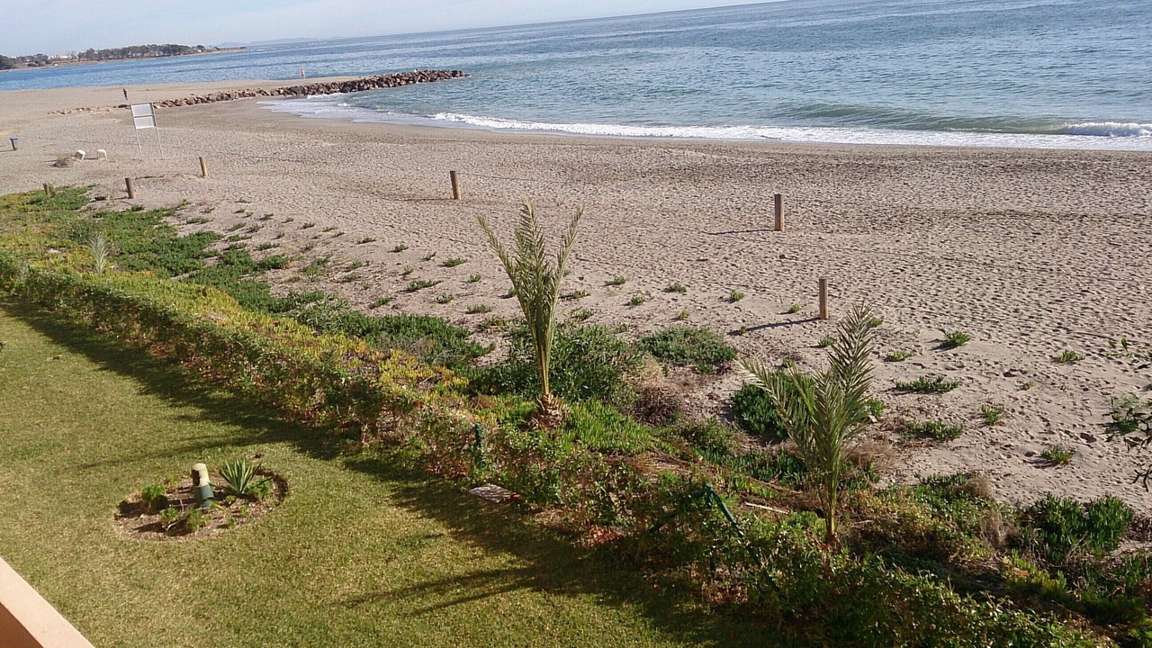 Photo of Others in Vera Beach