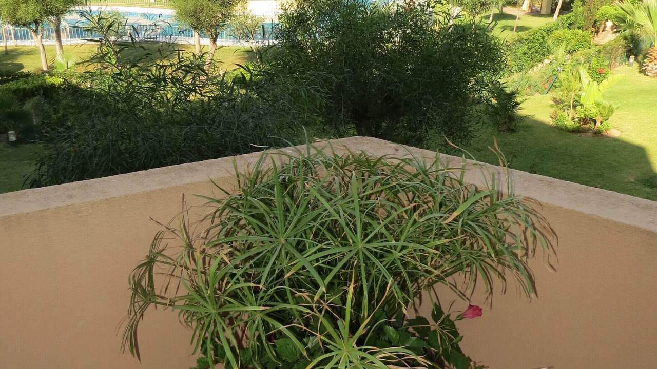 Photo of Outdoor in Vera Beach