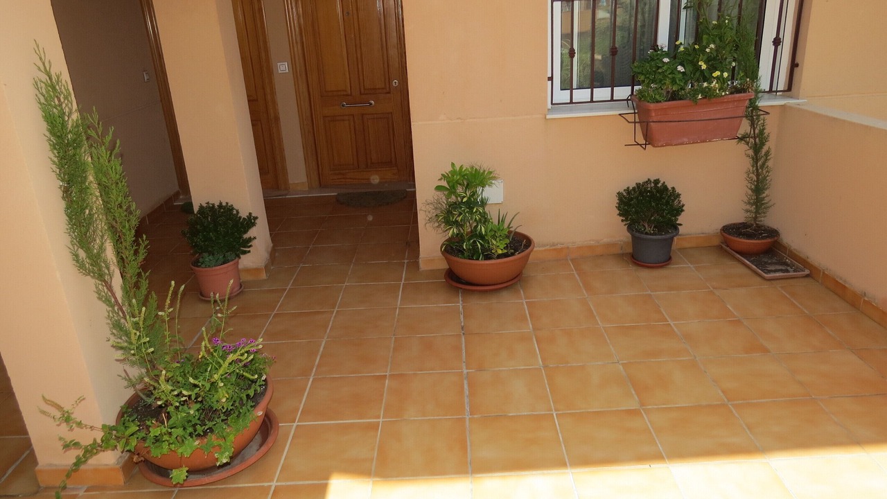 Photo of Outdoor in Vera Beach