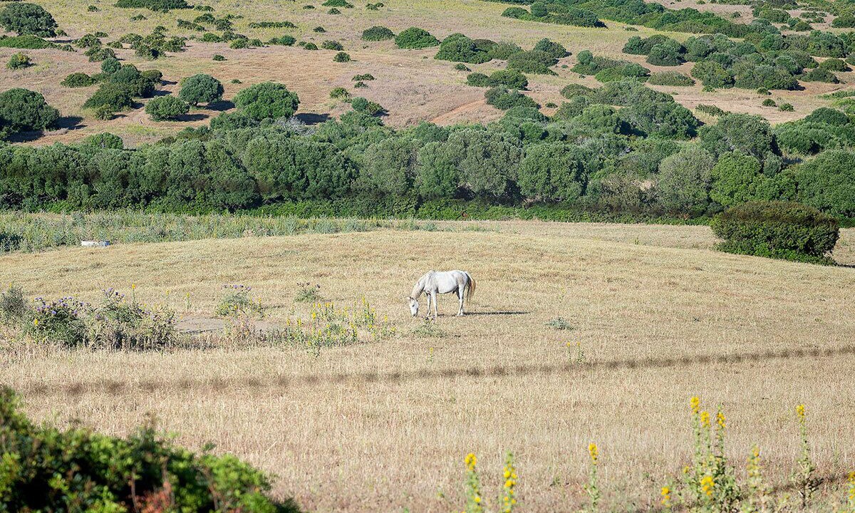 Photo of Others in Conil de la Frontera