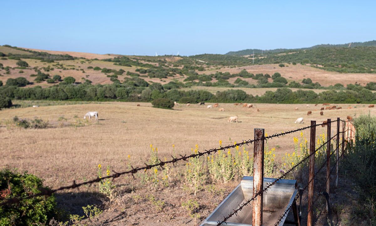Photo of Outdoor in Conil de la Frontera