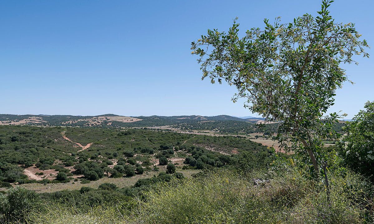 Photo of Outdoor in Conil de la Frontera