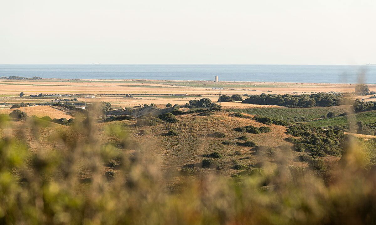 Photo of Others in Conil de la Frontera