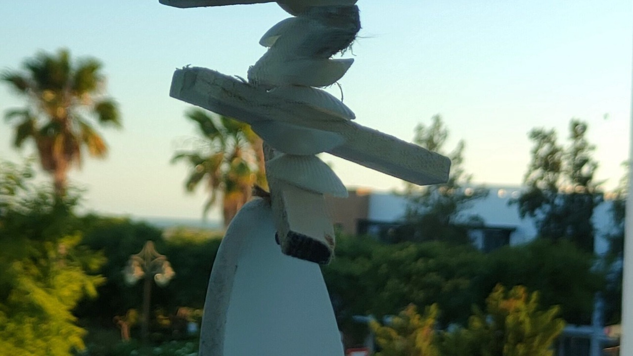 Photo of Others in El Rompido