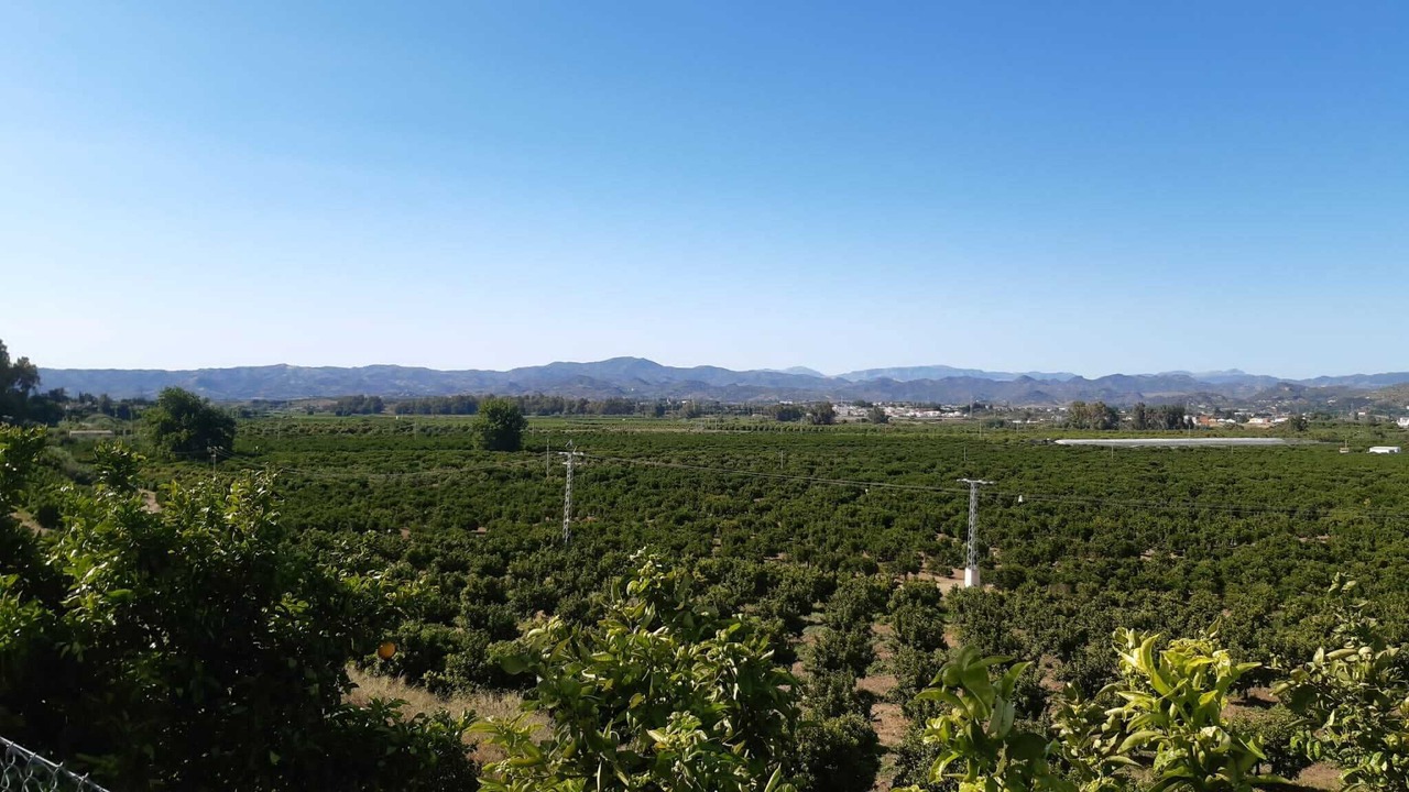 Photo of Outdoor in Alhaurin de la Torre