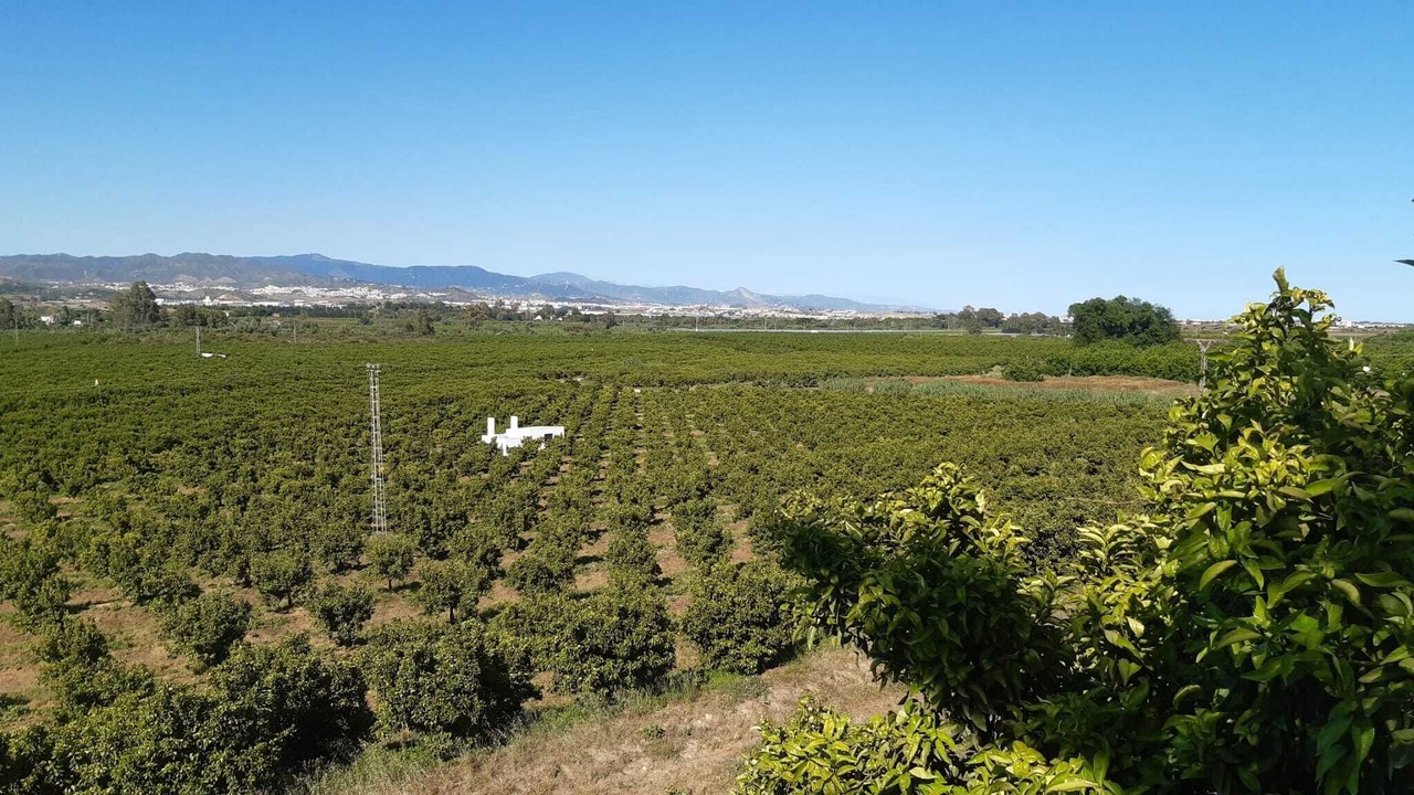 Photo of Outdoor in Alhaurin de la Torre