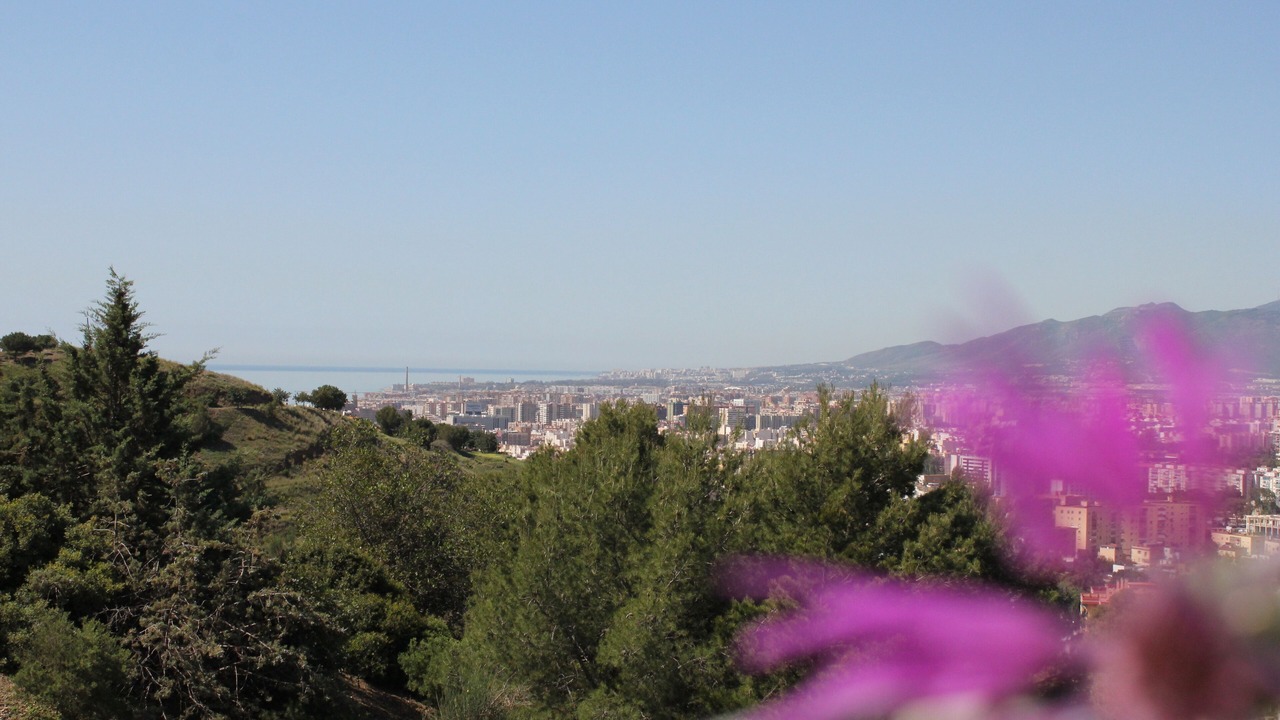 Photo of Outdoor in Ciudad Jardin
