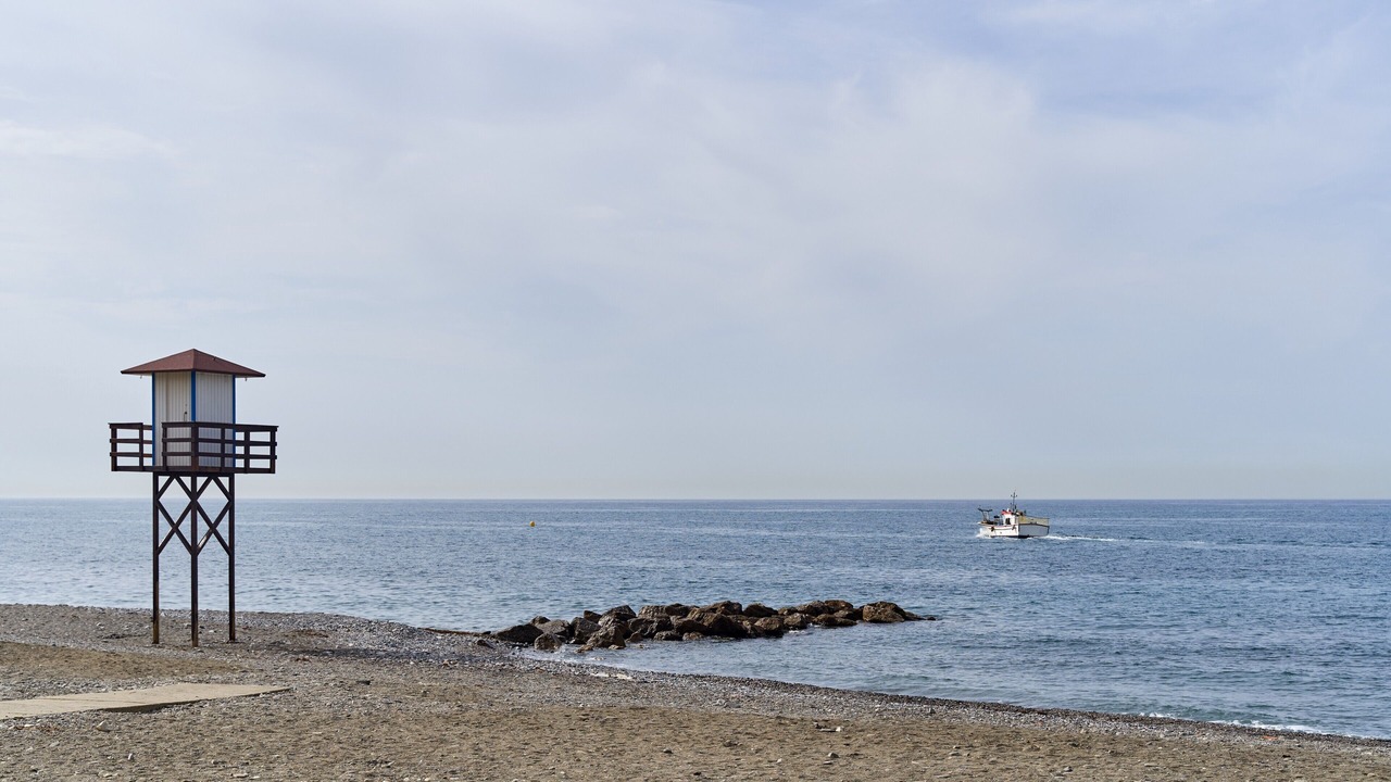 Photo of Others in Algarrobo