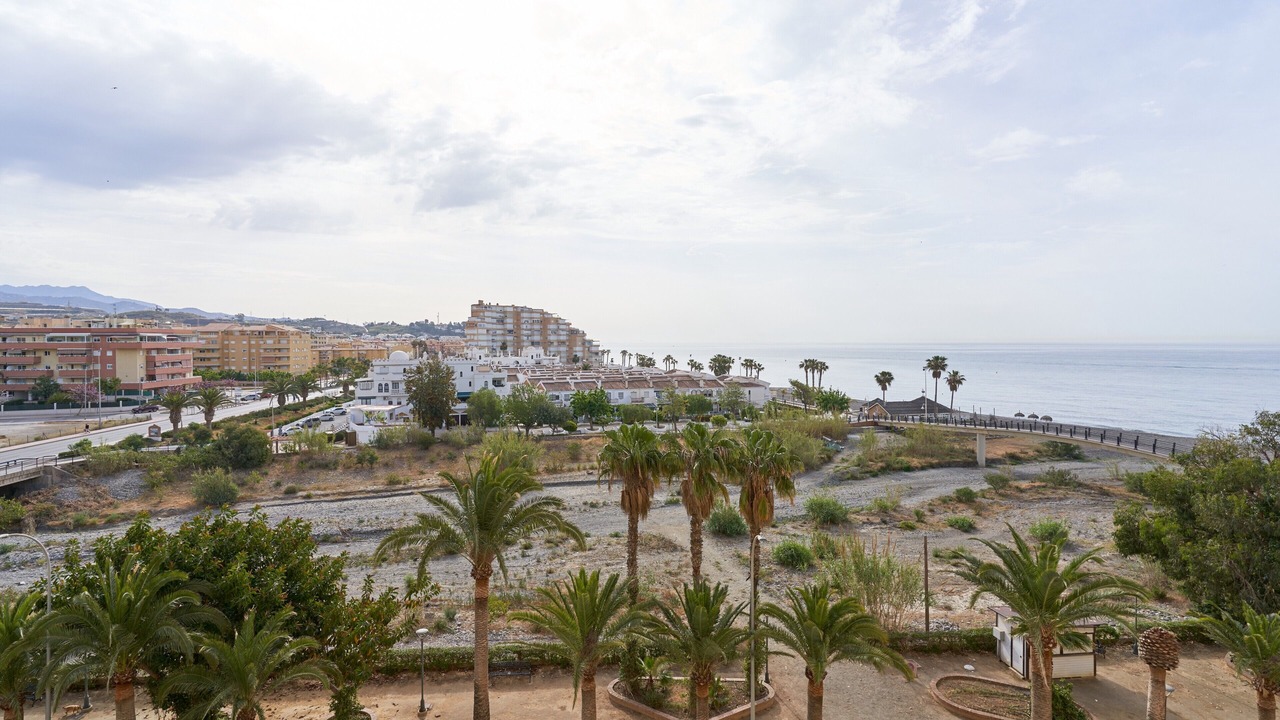 Photo of Others in Algarrobo