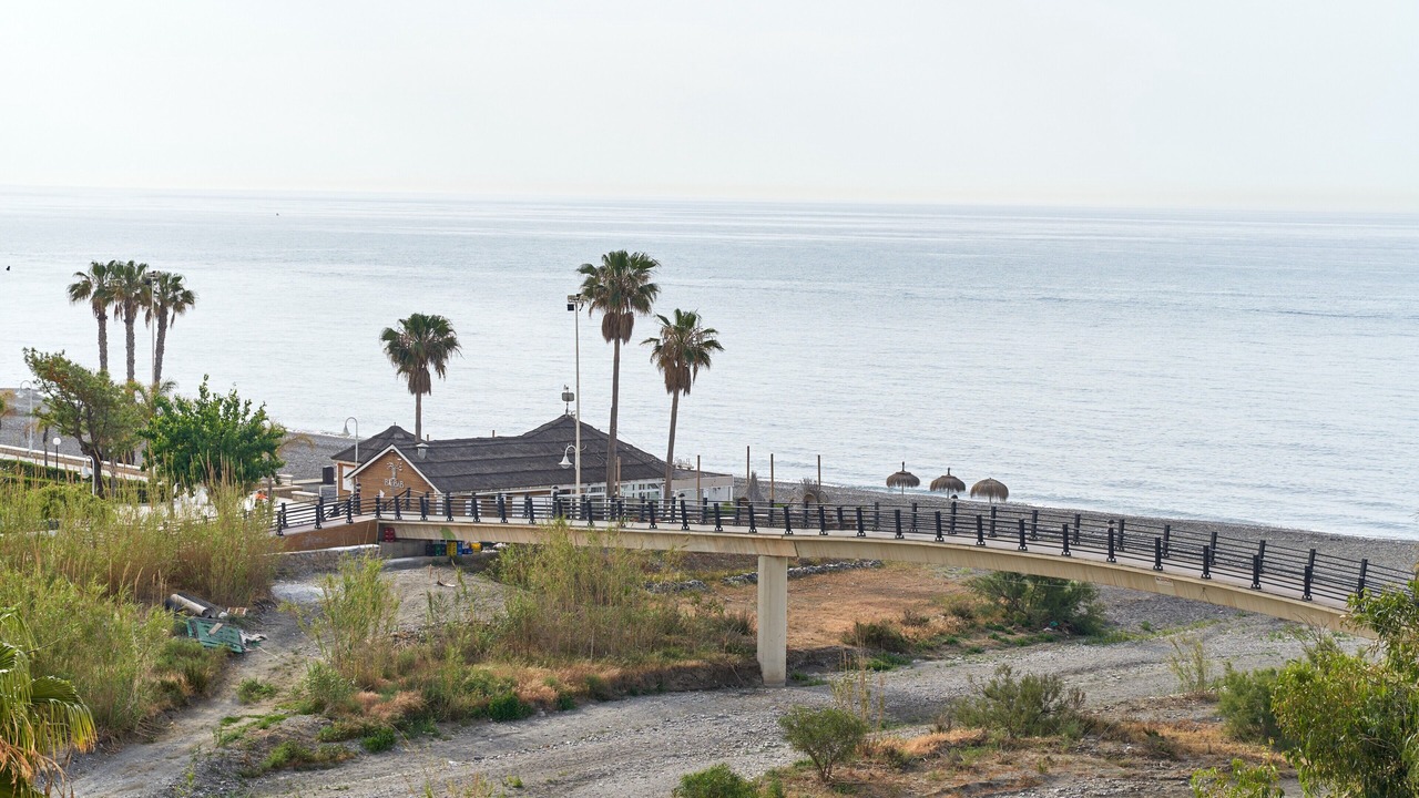 Photo of Others in Algarrobo