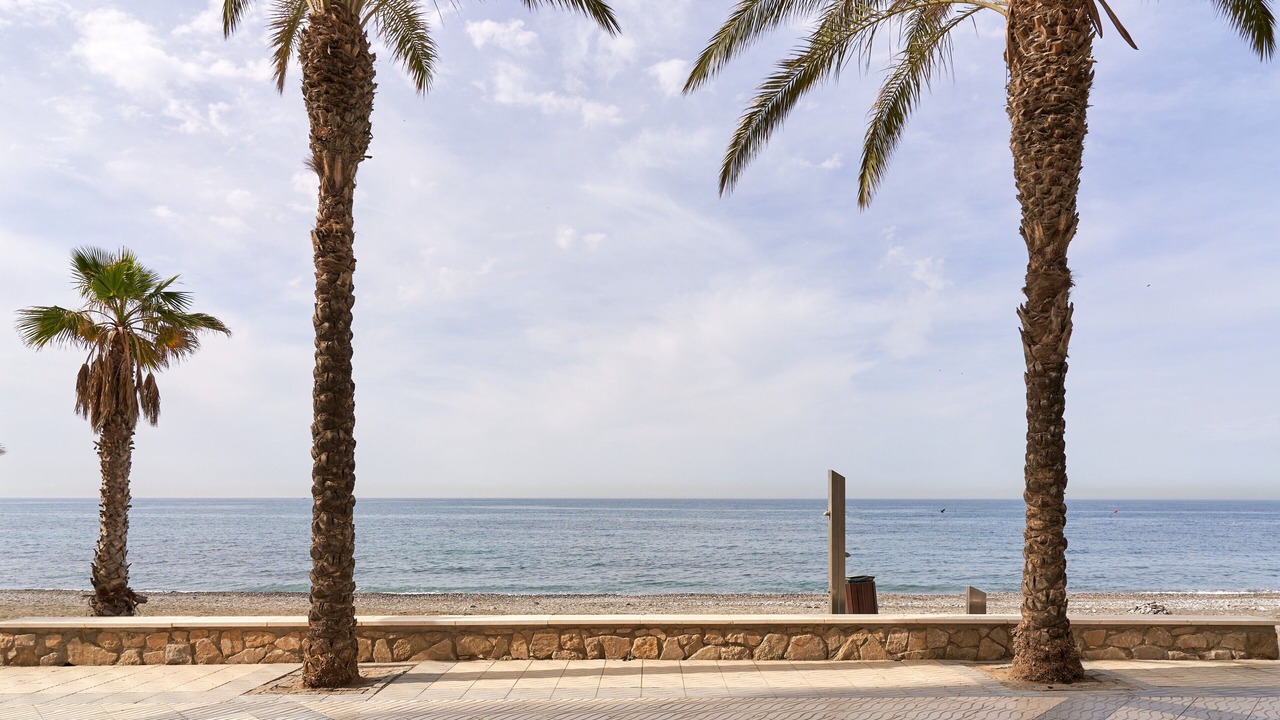 Photo of Others in Algarrobo