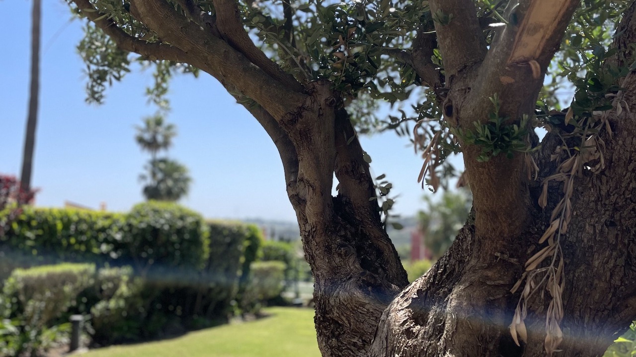 Photo of Outdoor in San Roque