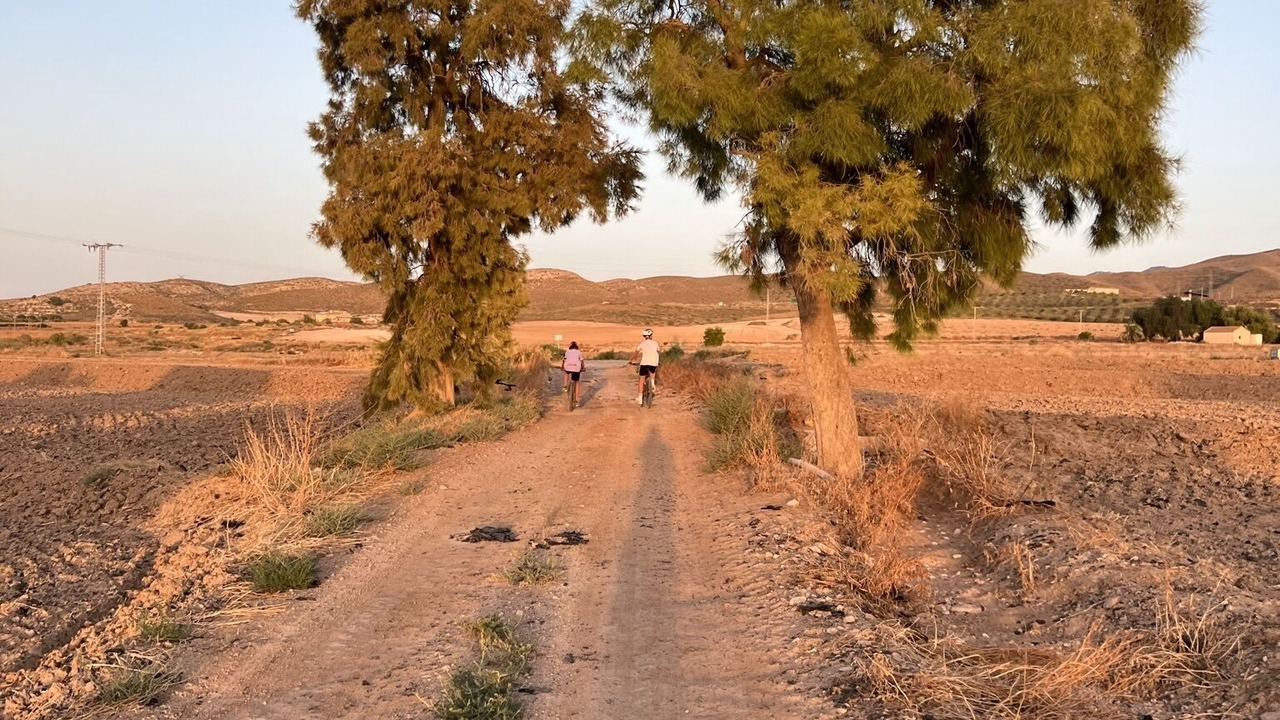 Photo of Others in Lorca
