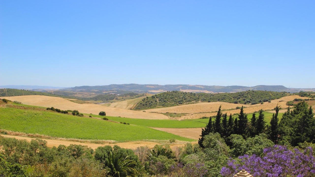 Photo of Outdoor in Conil de la Frontera