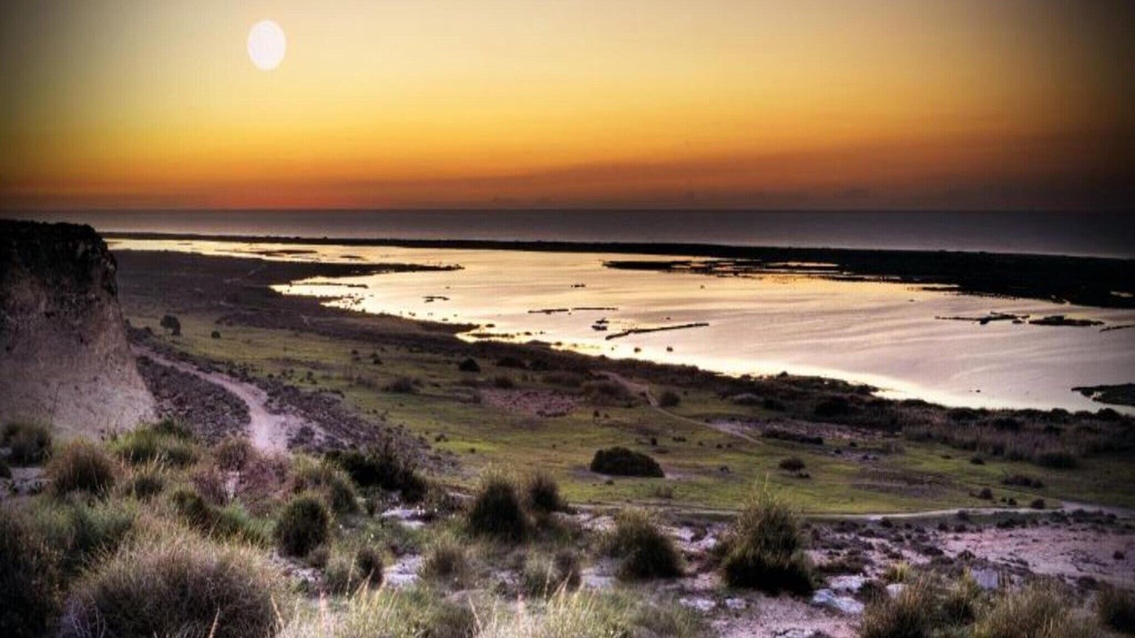 Photo of Others in Almerimar