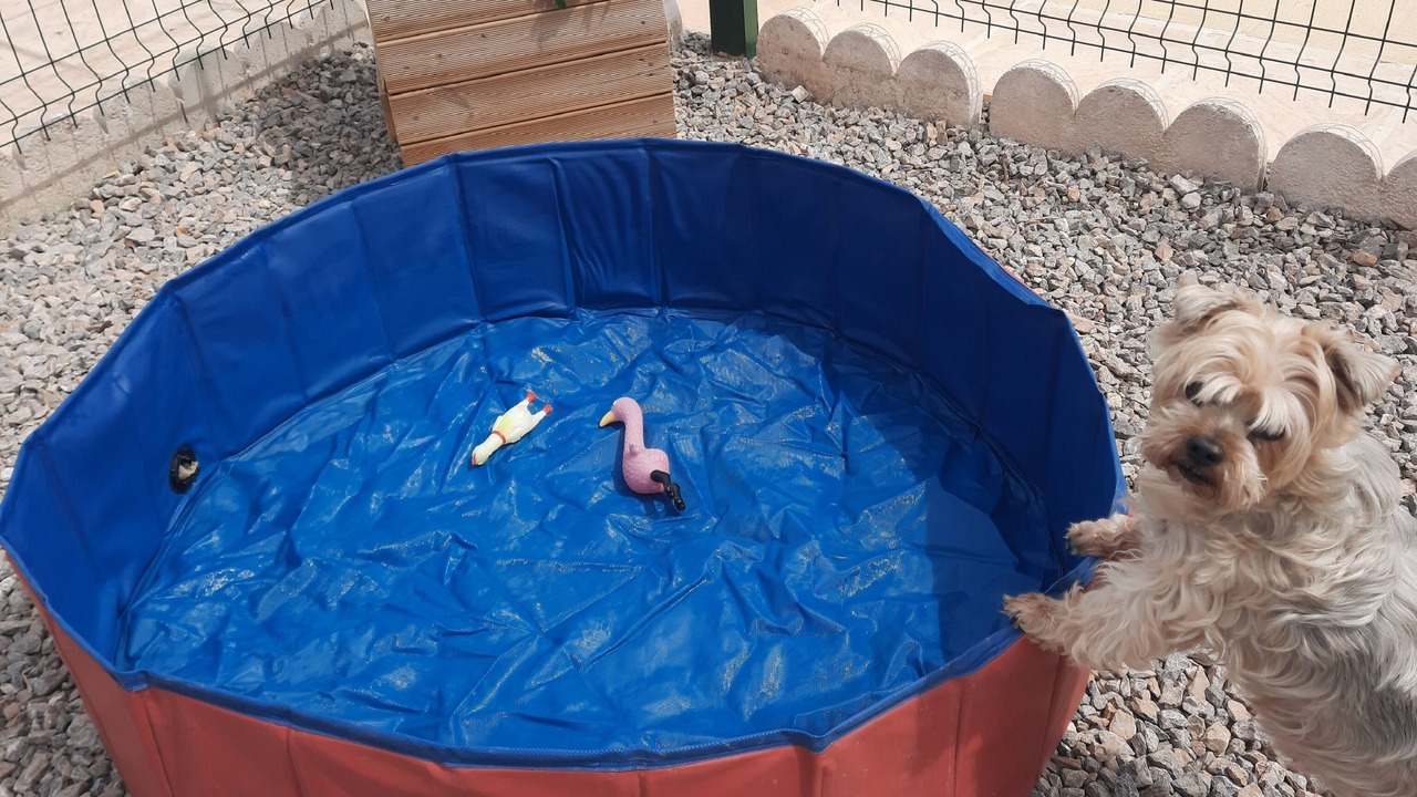 Photo of Outdoor in Majada del Moro