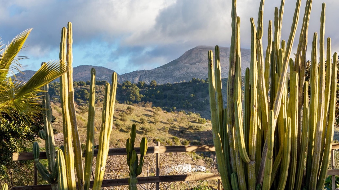 Photo of Outdoor in Ardales