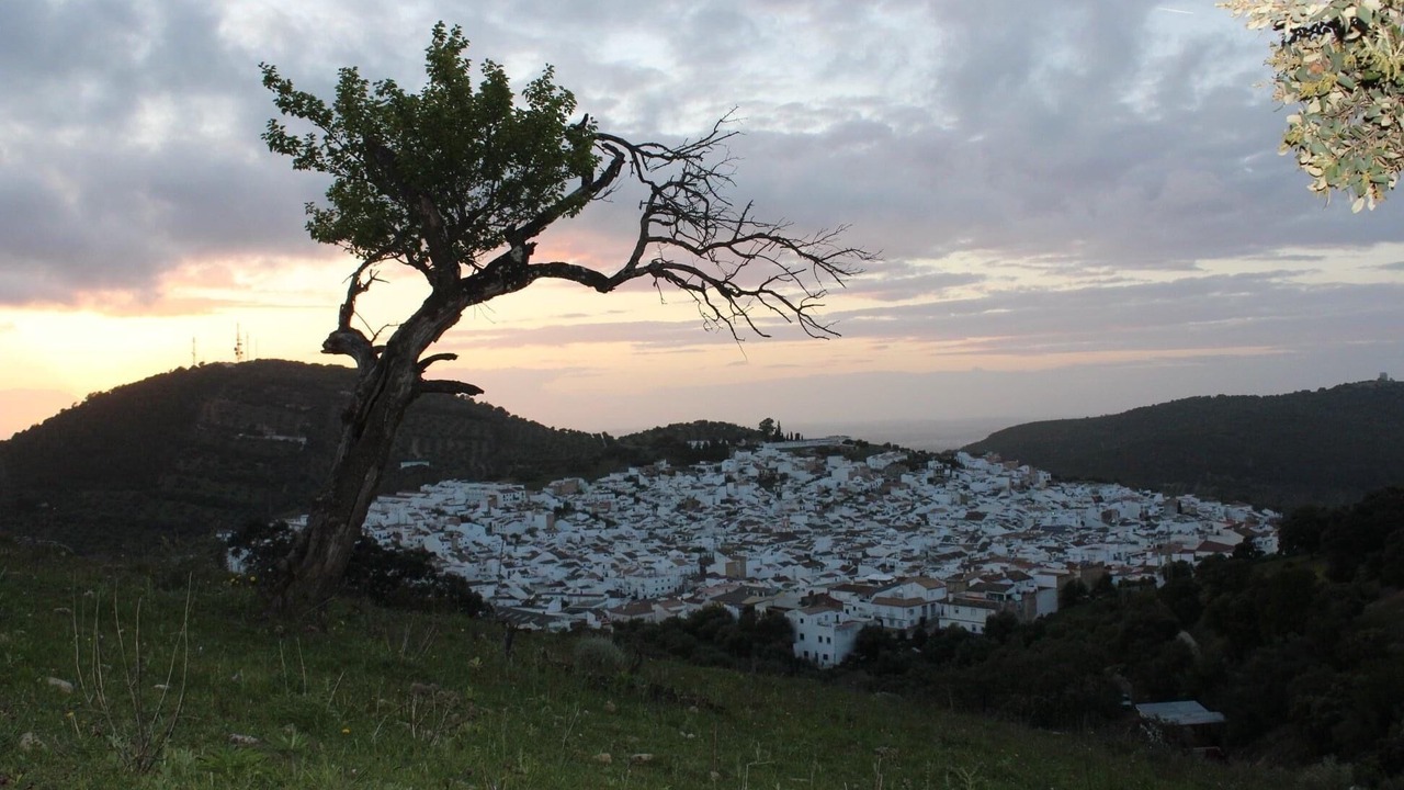 Photo of Outdoor in Prado del Rey