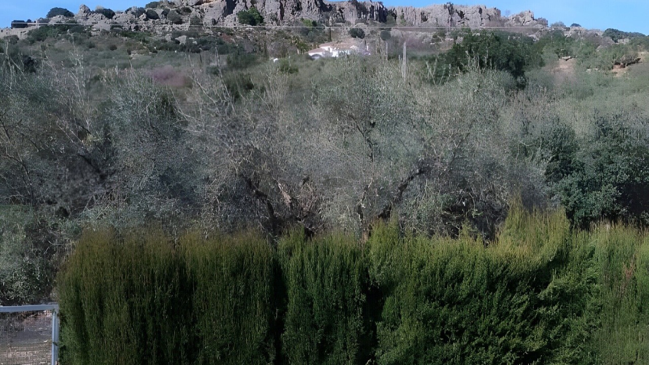 Photo of Others in Periana