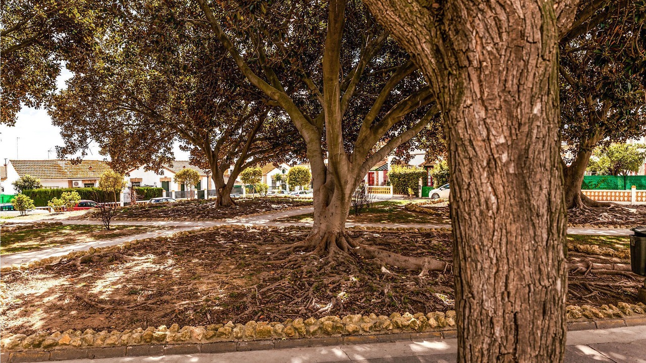 Photo of Others in Valbueno