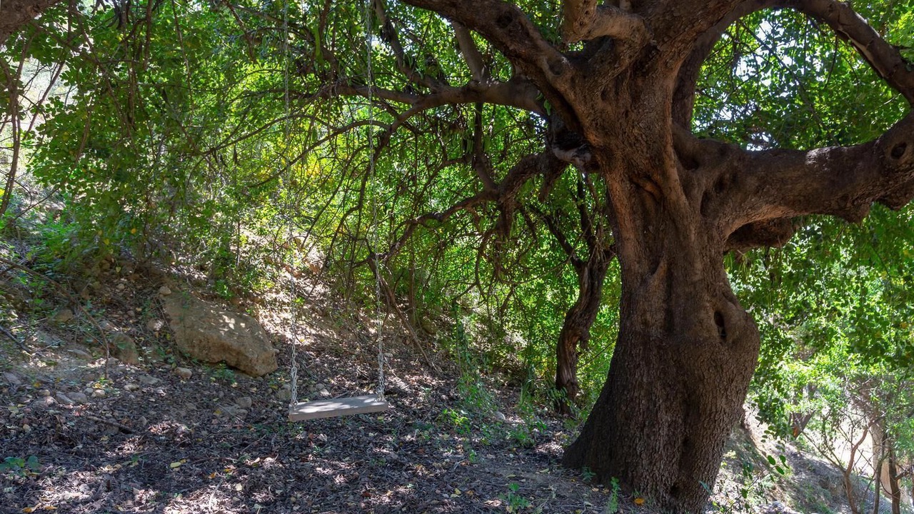 Photo of Outdoor in Alora