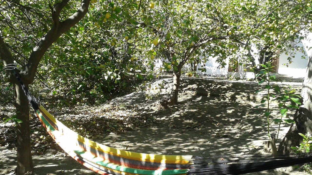 Photo of Outdoor in Alora